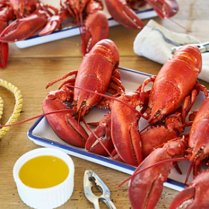 Maine Lobster.