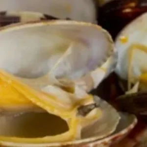 Clams $17/lb