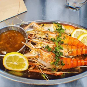 Fresh Water Shrimp